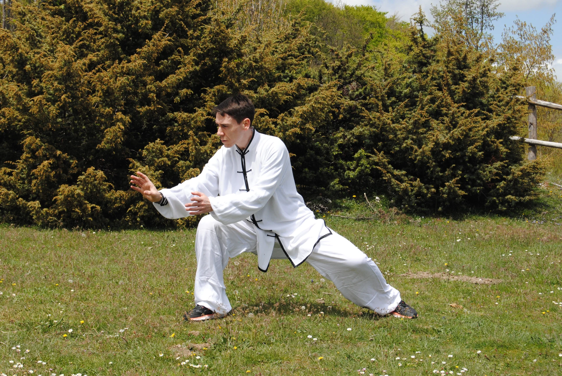 Corso Tai Chi a Terni